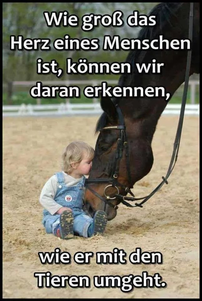 Der Schlüssel zum Gesetz der Anziehung Lederer.Coaching