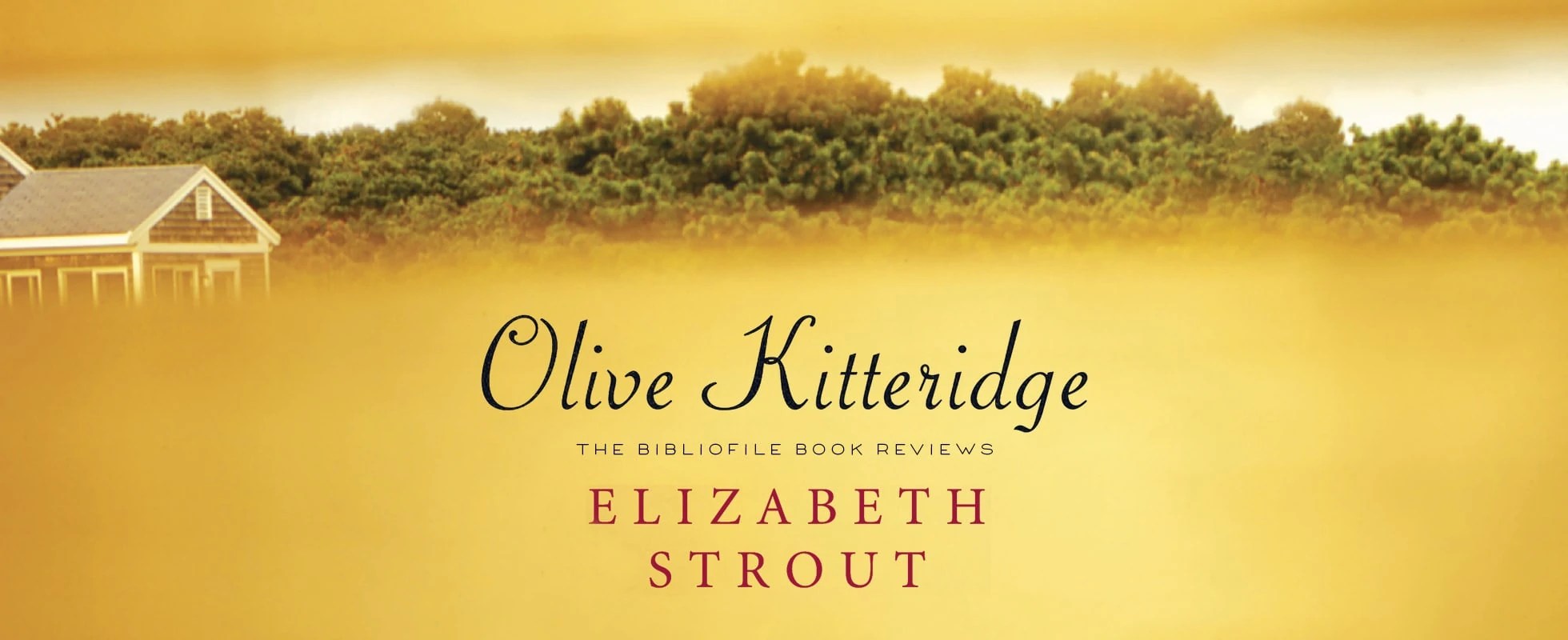 Olive Kitteridge by Elizabeth Strout, Review and Summary The Bibliofile