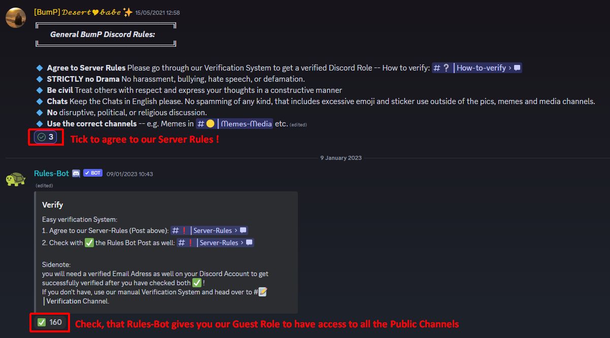 Discord The BumP Guild