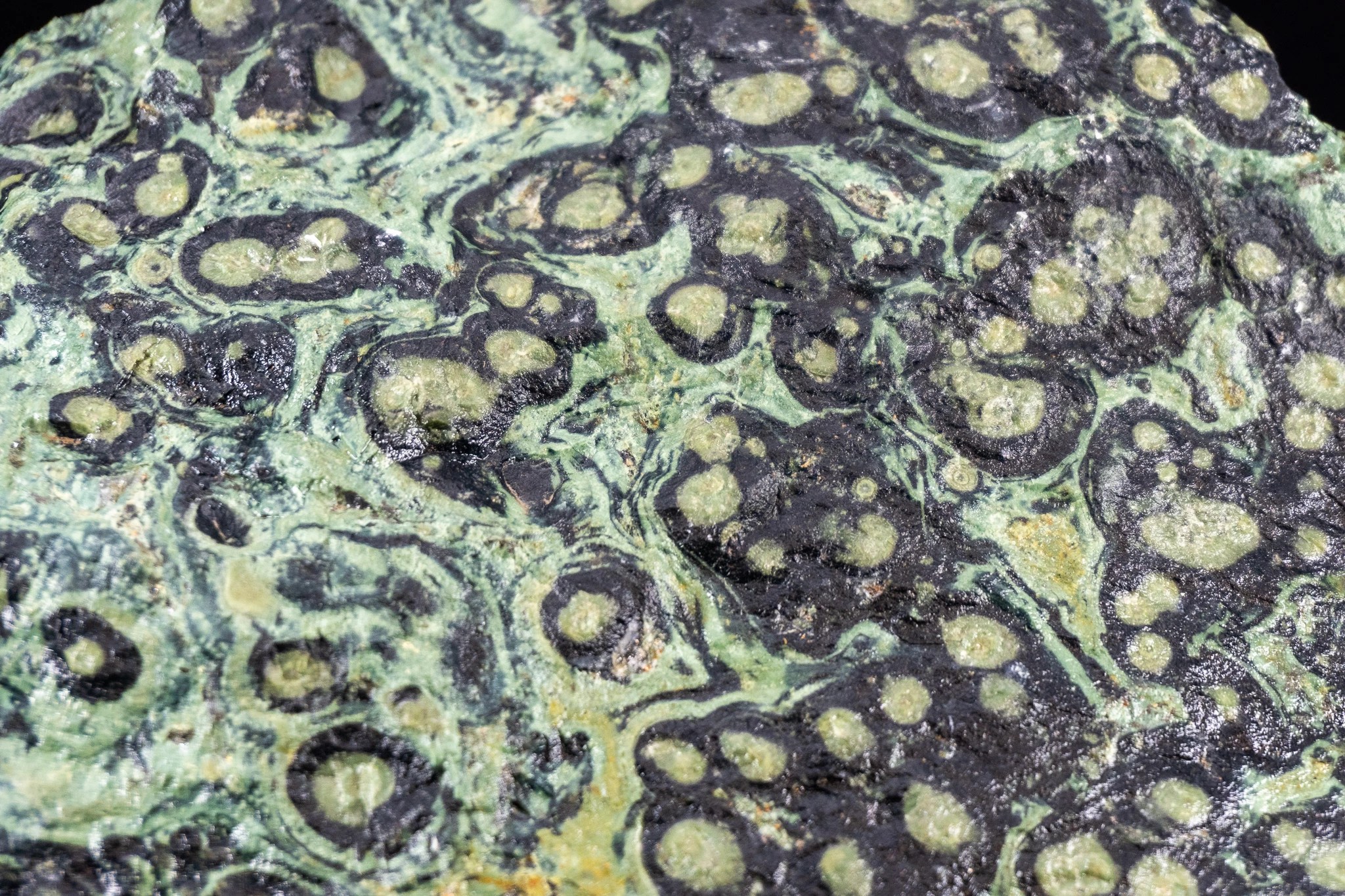 Kambaba Jasper Meanings and Crystal Properties The Crystal Council