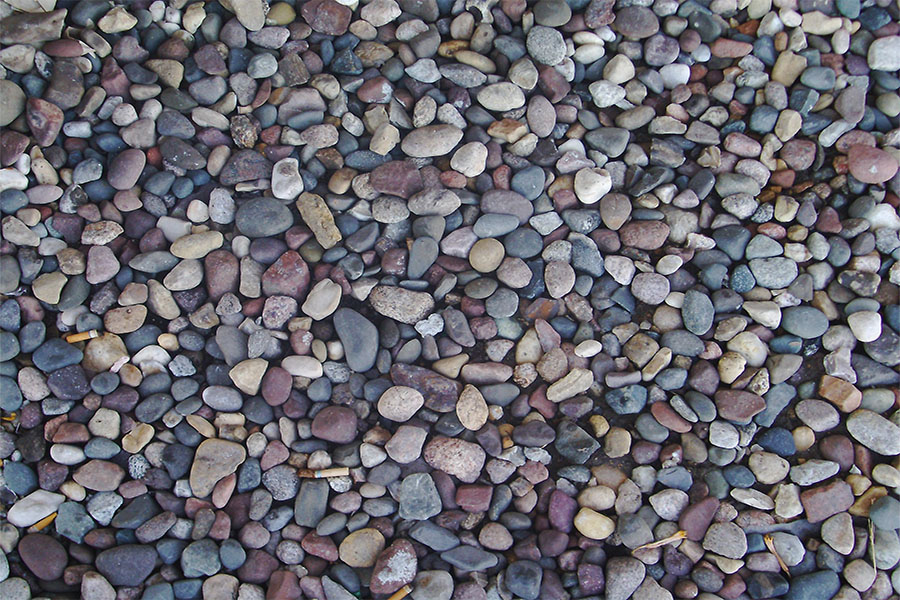The Uniqueness of the Earth • The Dialogue