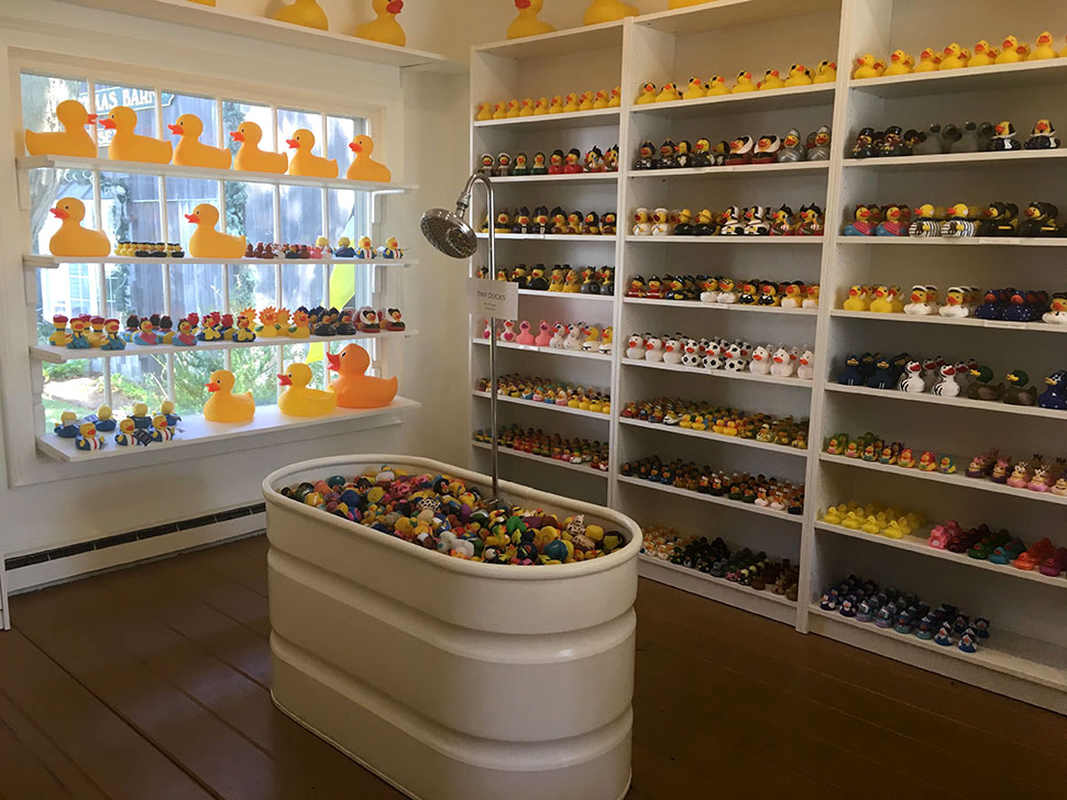 Essex Duck The E List