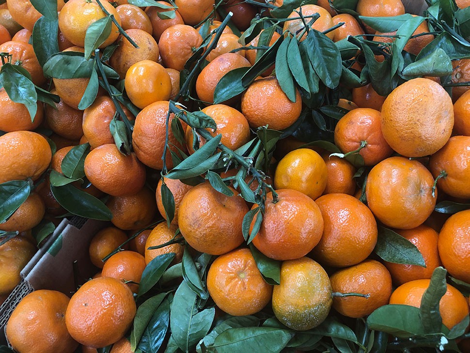 A Mammoth Market of Unusual Ingredients India Farmer’s Market, West