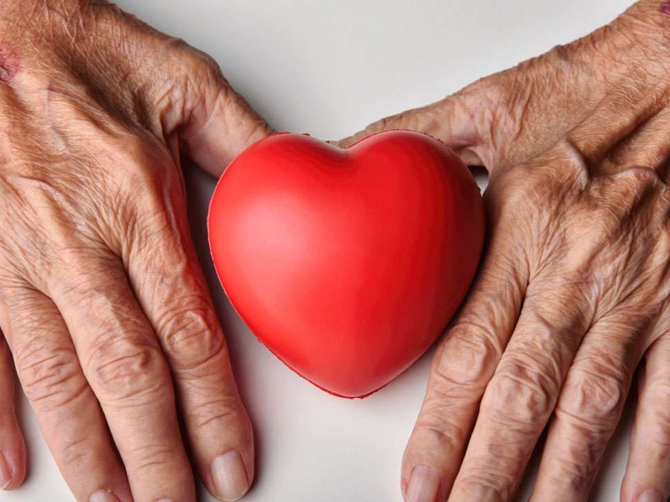 Senior Advice From an Elder Care Attorney The E List