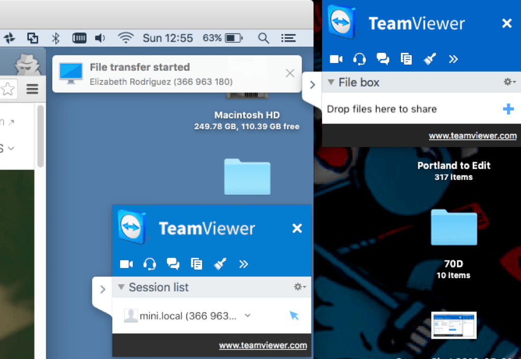 TeamViewer remote access software review