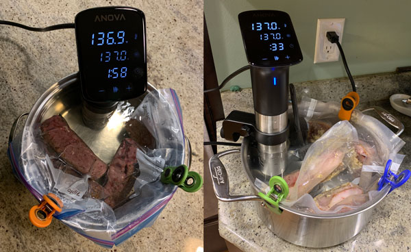 Anova Precision Sous Vide Cooker Pro review The Gadgeteer