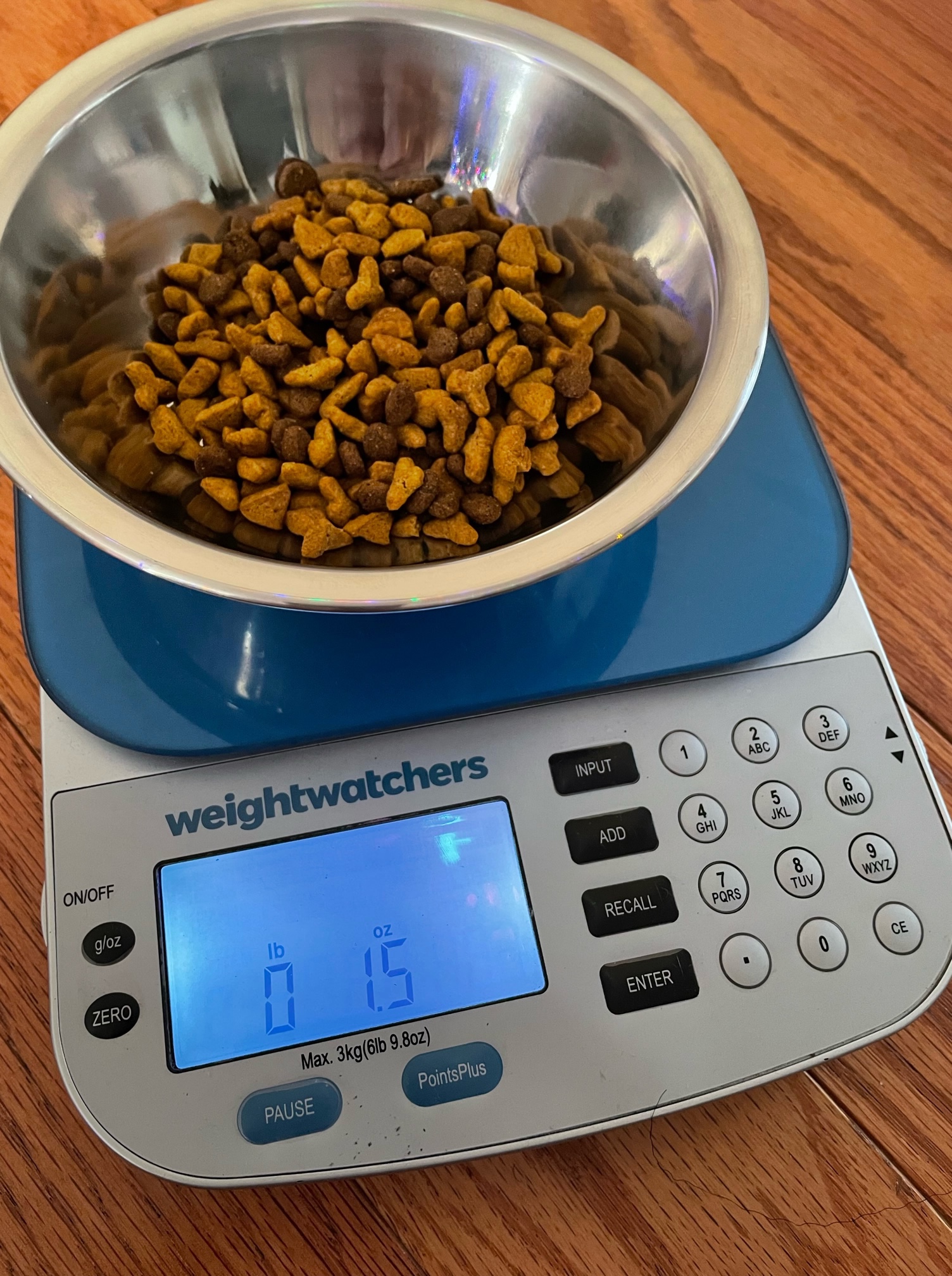 Petlibro Granary Automatic Pet Feeder review Gadgetry for your fur