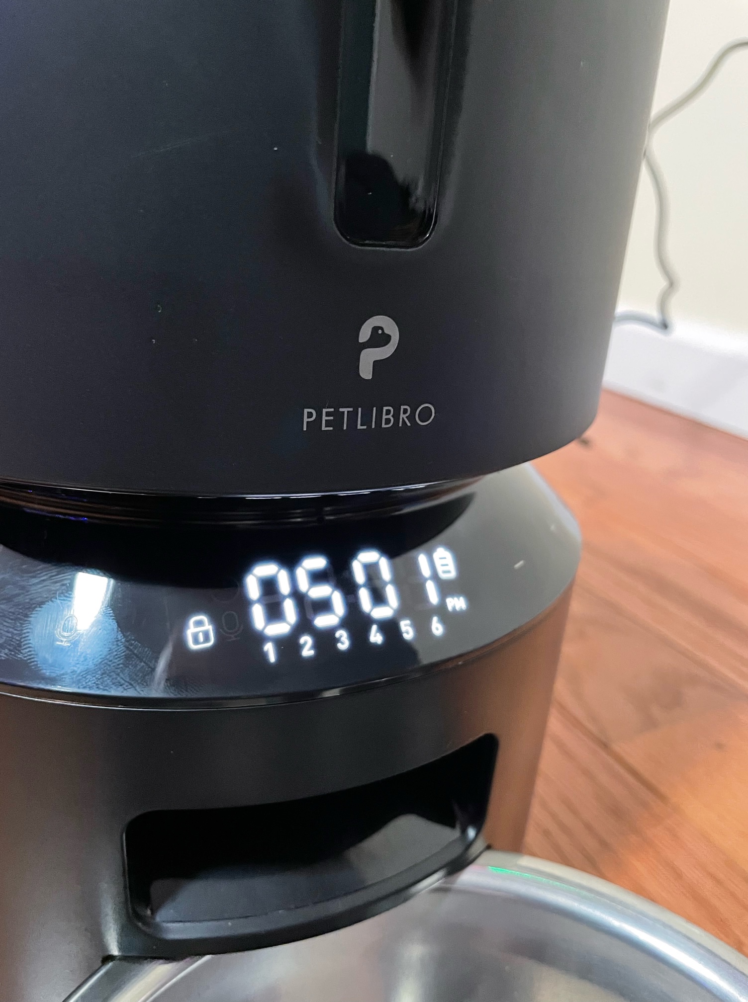 Petlibro Granary Automatic Pet Feeder review Gadgetry for your fur