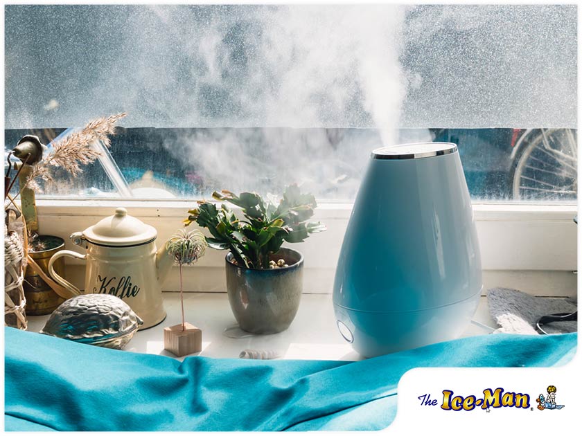 The Importance of Raising Humidity Levels in Fall and Winter The Ice Man