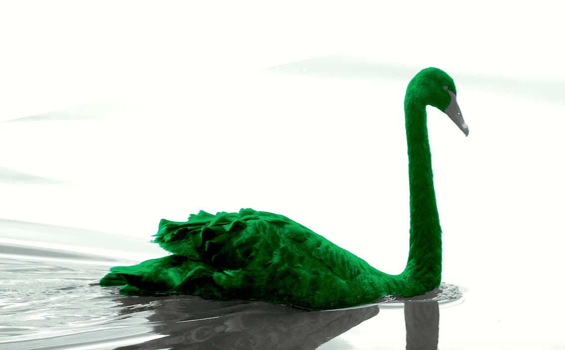 What do we make of these green swans? Green Margins by The Ken