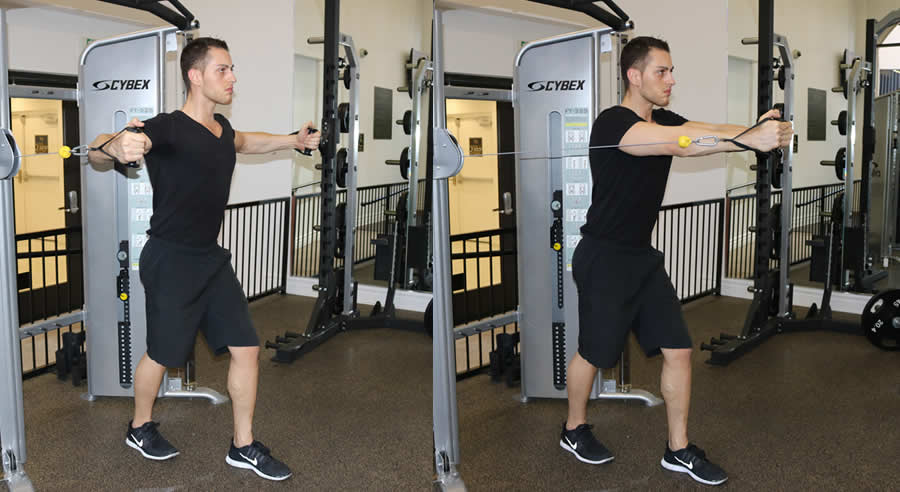 Flat Cable Fly The Optimal You Online Personal Trainers & Holistic