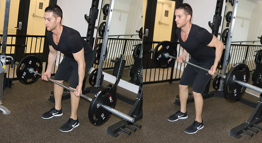 Underhand Barbell Row The Optimal You Online Personal Trainers
