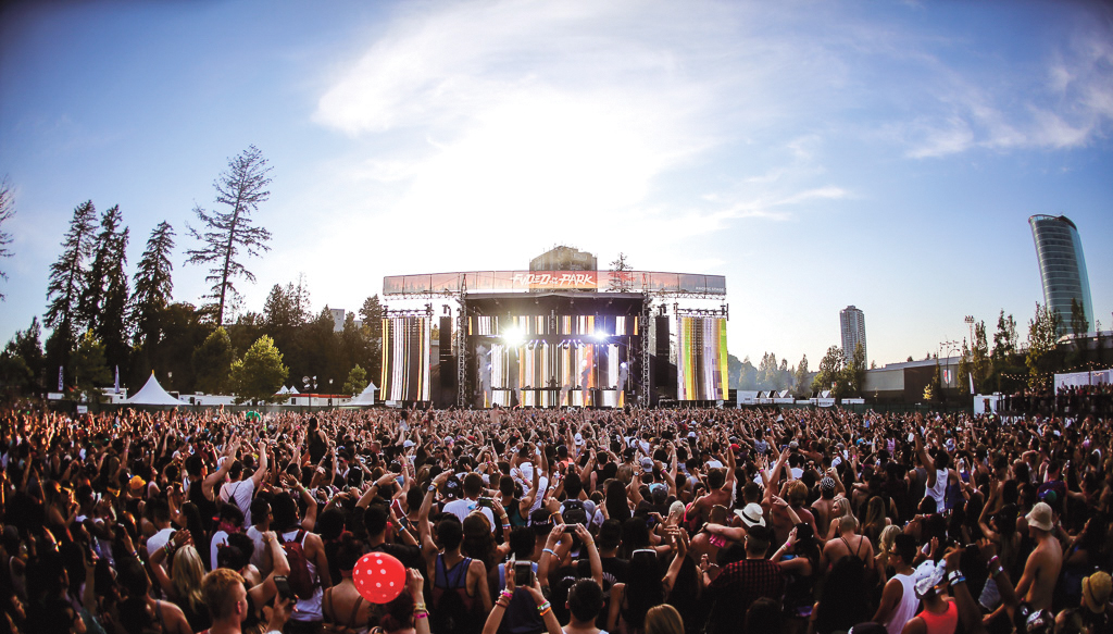 FVDED in the Park is more than just a standard music