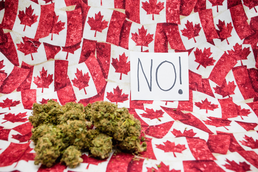 Teresa Caruso Canada Weed Legalization