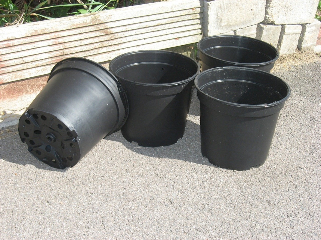 Plastic Pots vs Clay Pots Which are better for your plants?