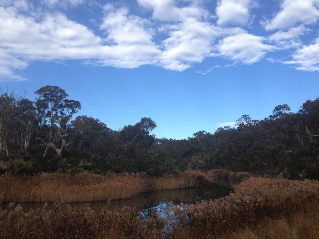 Take a hike Molonglo trail The RiotACT