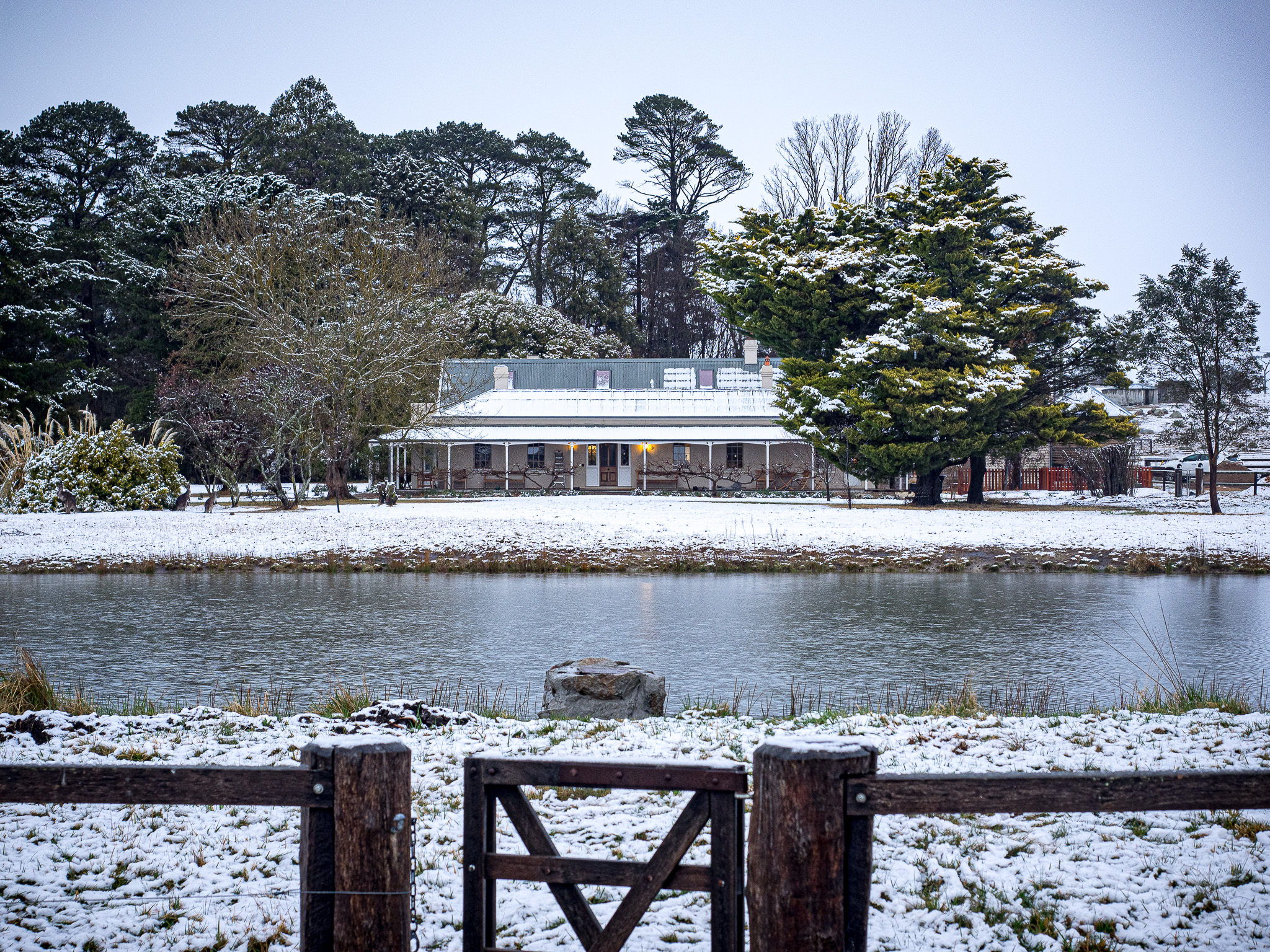 Historic masterpiece magnificently restored at Braidwood Riotact