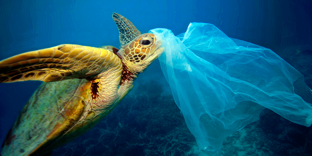 Ocean plastics where to fight them first? The Shift