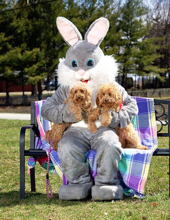 Easter Bunny Visits Park The Source