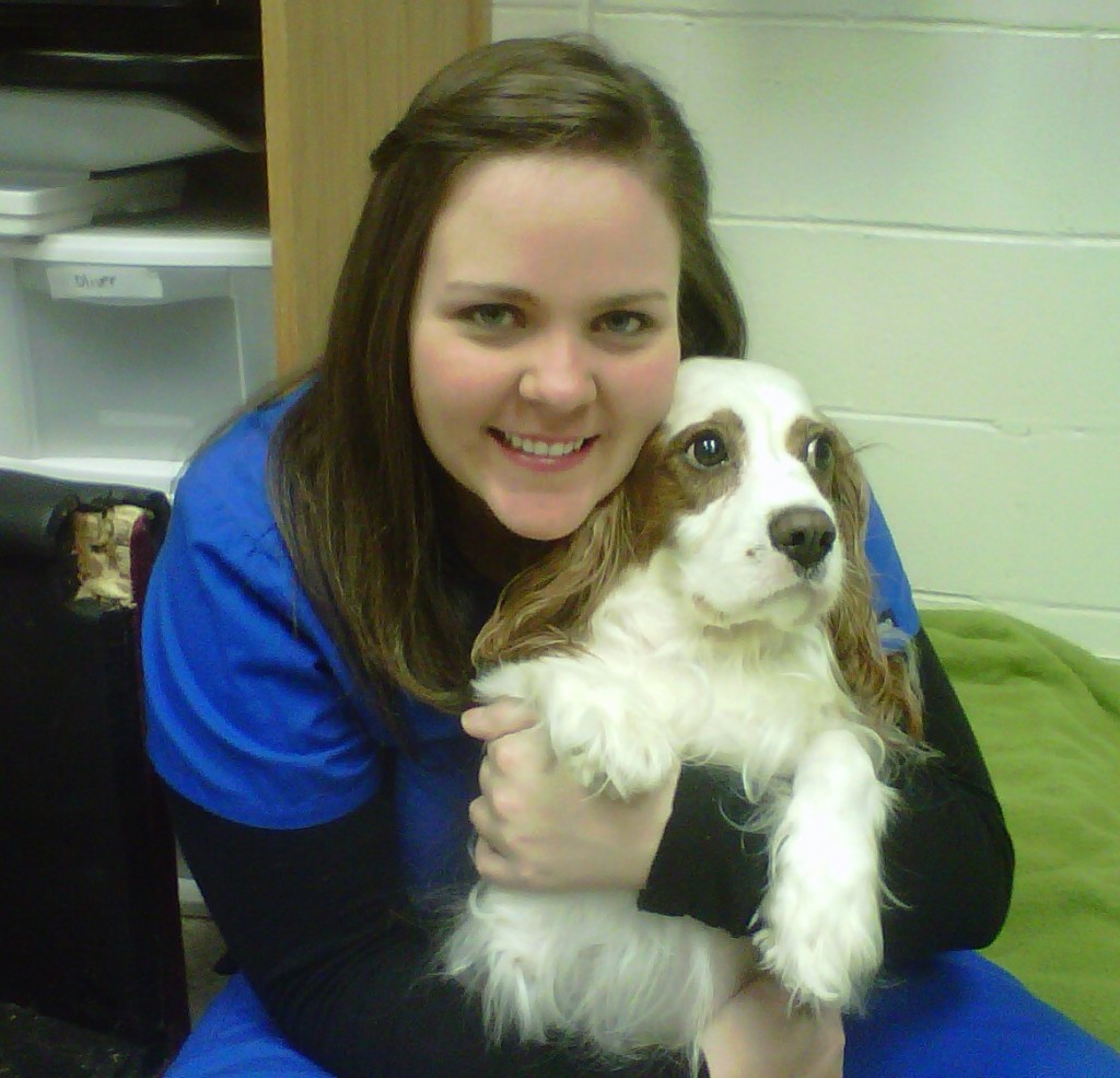 Murrayville Mixed Animal Clinic The Source