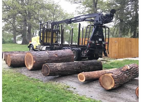 Western Illinois Youth Camp’s Tree Farm Forestry Field Day The Source