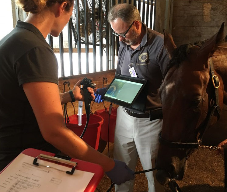 Meetings The Veterinary Comparative Respiratory Society