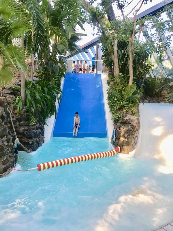 Why we will be returning to Center Parcs my Top Tips The Willow Tree