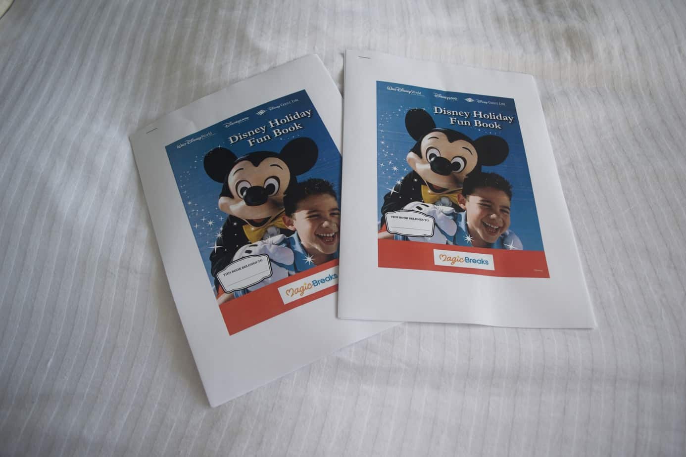 Disney Reveal Box Ideas The Willow Tree