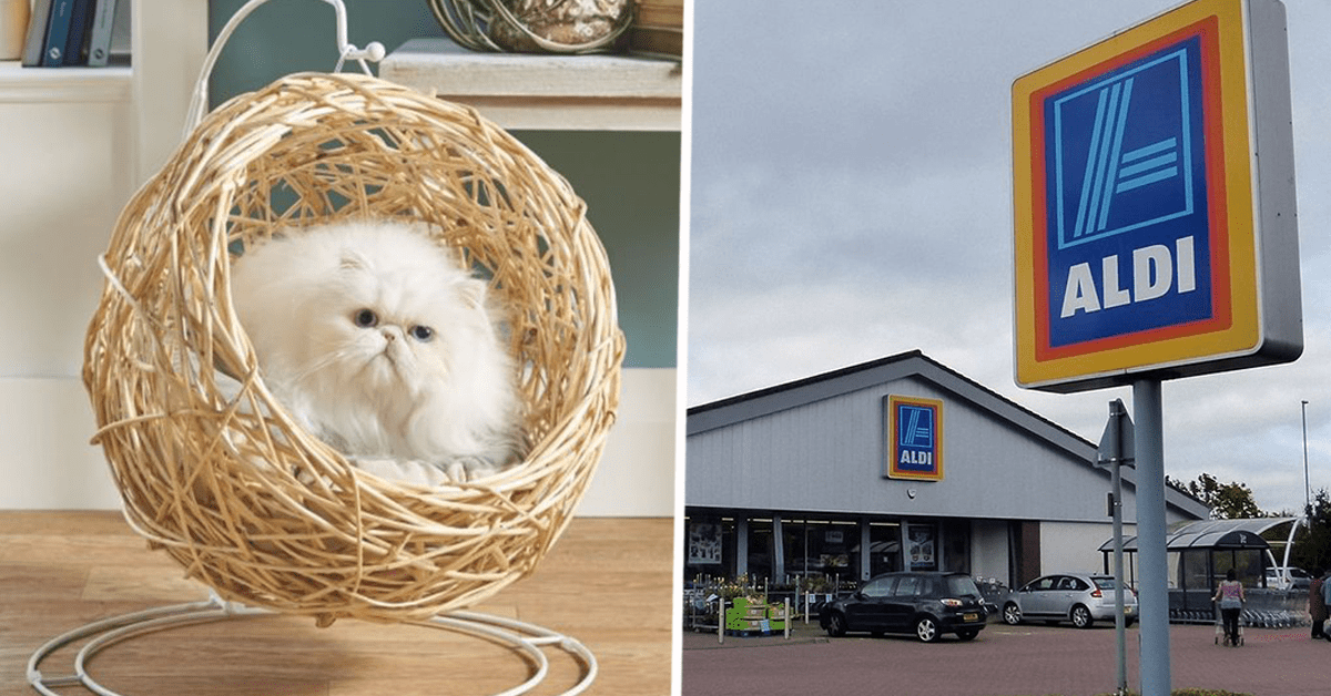 Aldi Is Now Selling Their Popular Hanging Chair For Cats The Yorkshireman