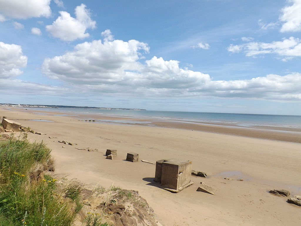 Which Beaches Allow Dogs In Yorkshire