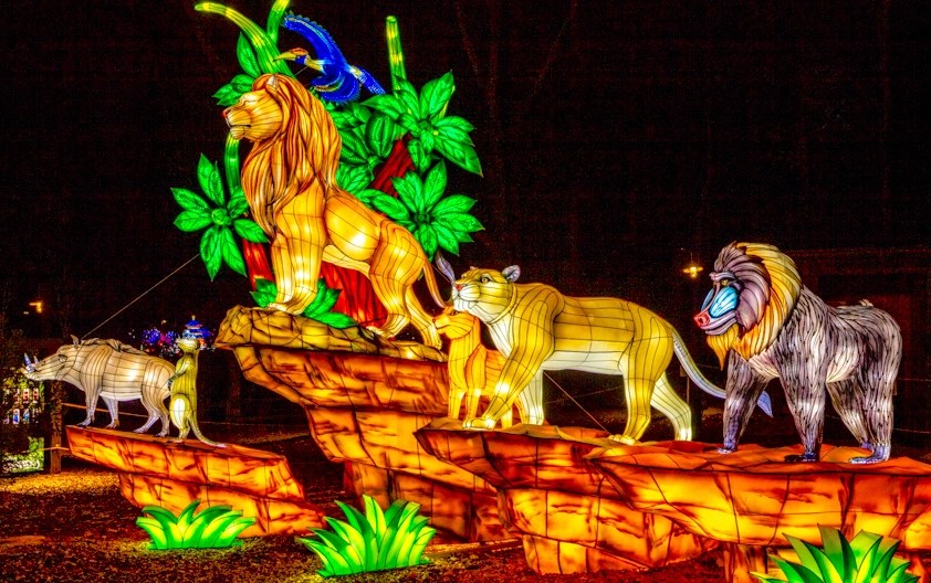 6 Of The Best Christmas Light Trails In Yorkshire 2023