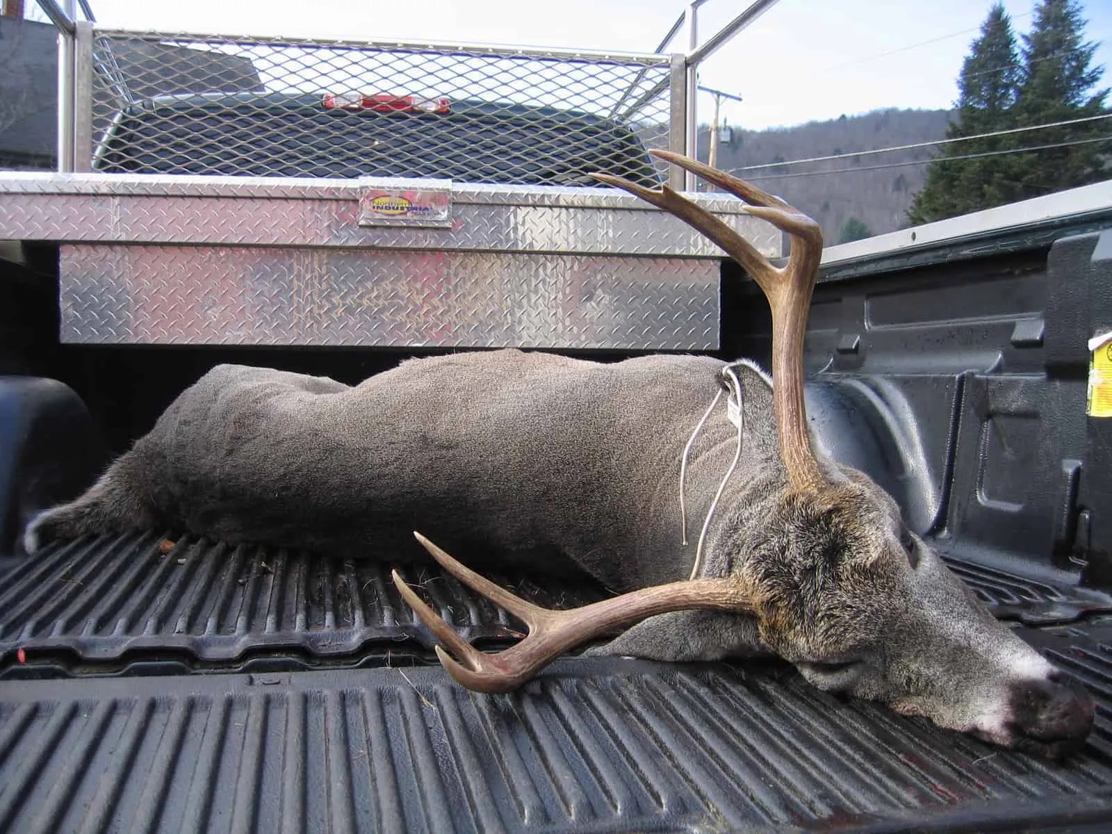 Antler Restrictions or Not? Real Hunts. Unreal Stories.