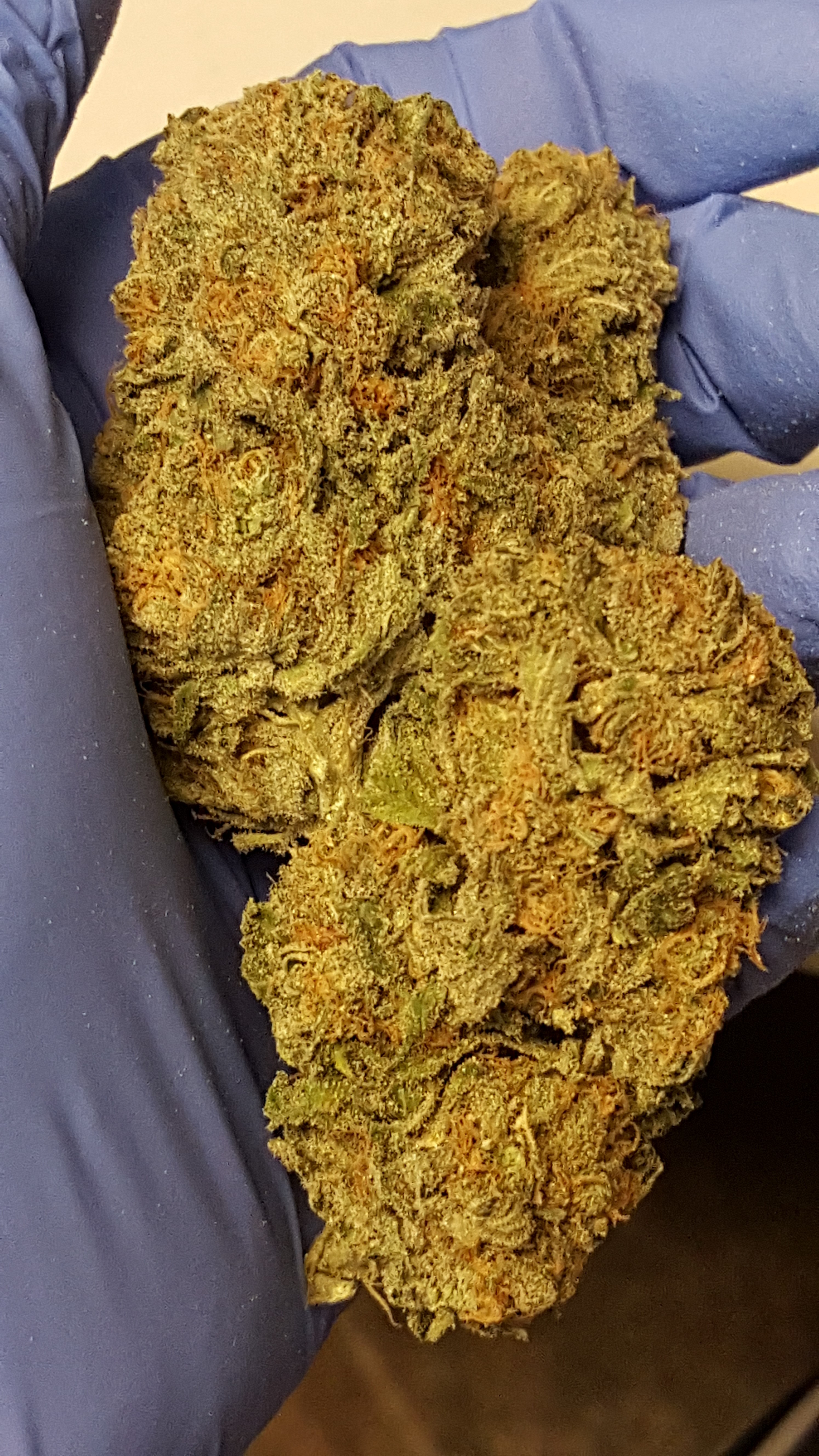 Marijuana Strains The 64 Store
