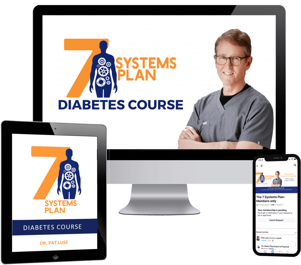 Diabetes Course Purchase The 7 Systems Plan