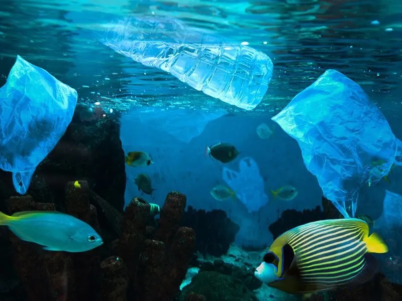 History of the plastic bottle miracle container to hated garbage