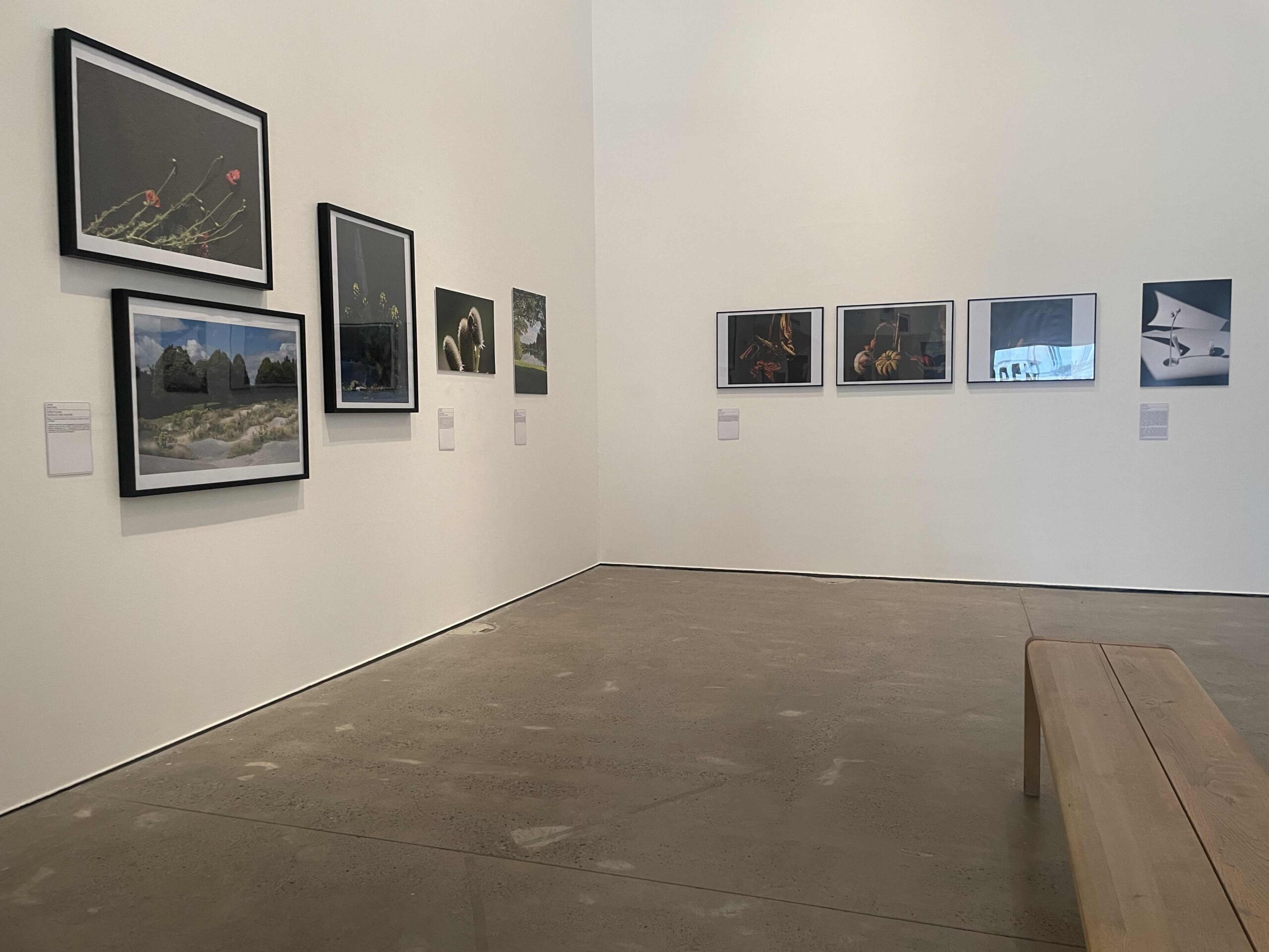 Open Eye Gallery The Accessible Guide