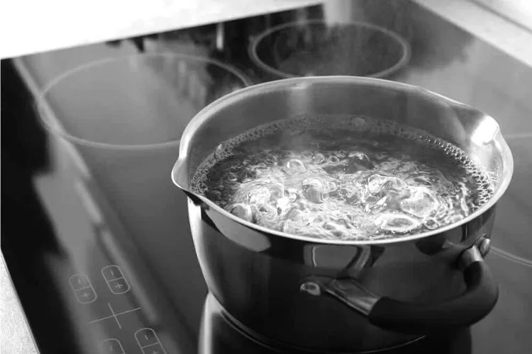 Can You Sterilize Soil With Boiling Water? (An Alarming Guide)