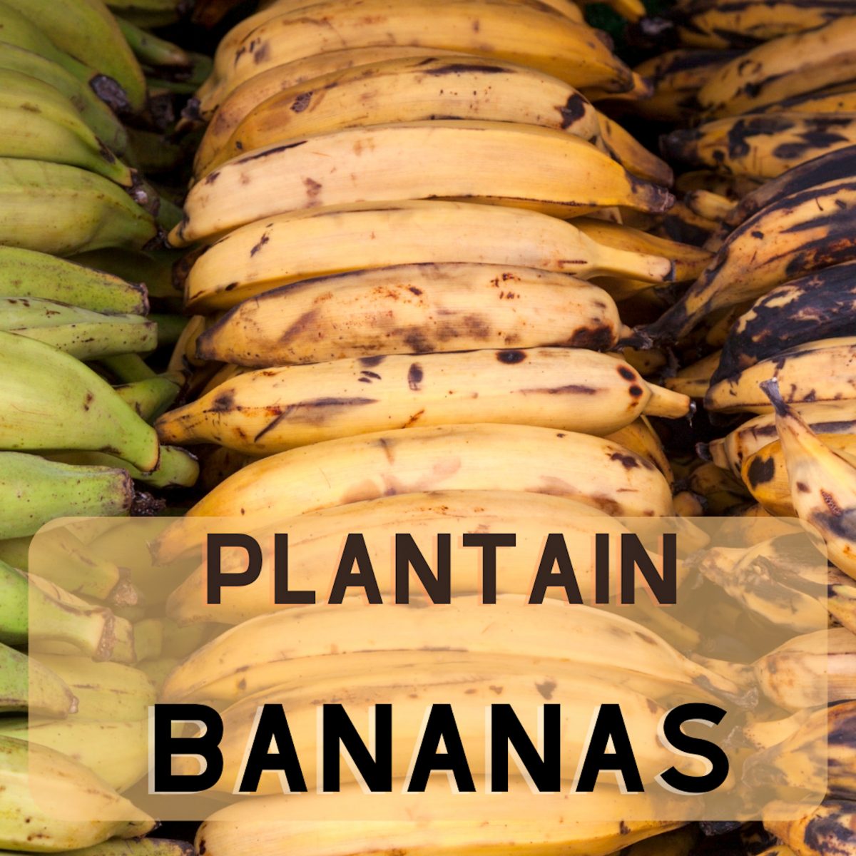 What Is A Plantain Banana? The American Cuban Table