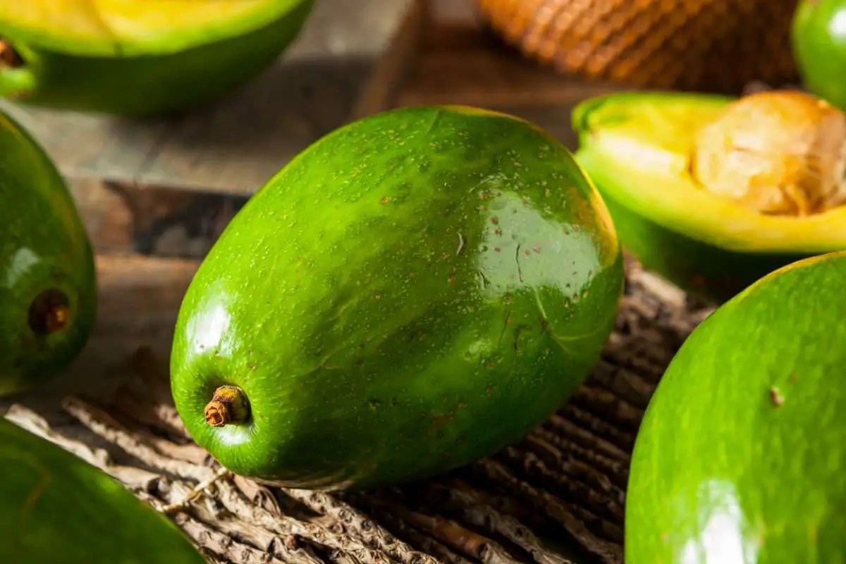 What Is A Florida Cuban (Catalina) Avocado? The American Cuban Table