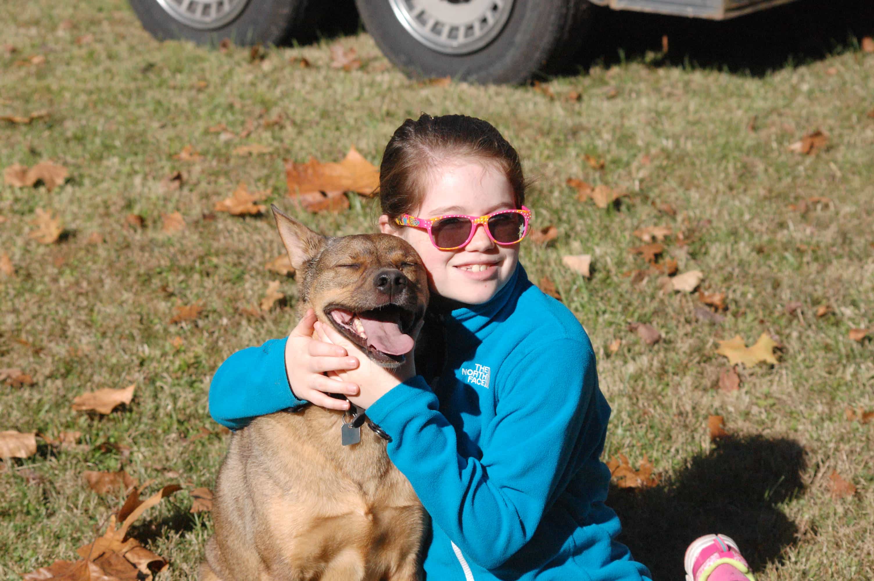 DSC_0782 Dog Training Raleigh NC The Active K9