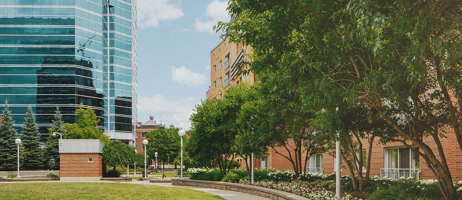 Apartments for rent Ottawa theadelaide.ca