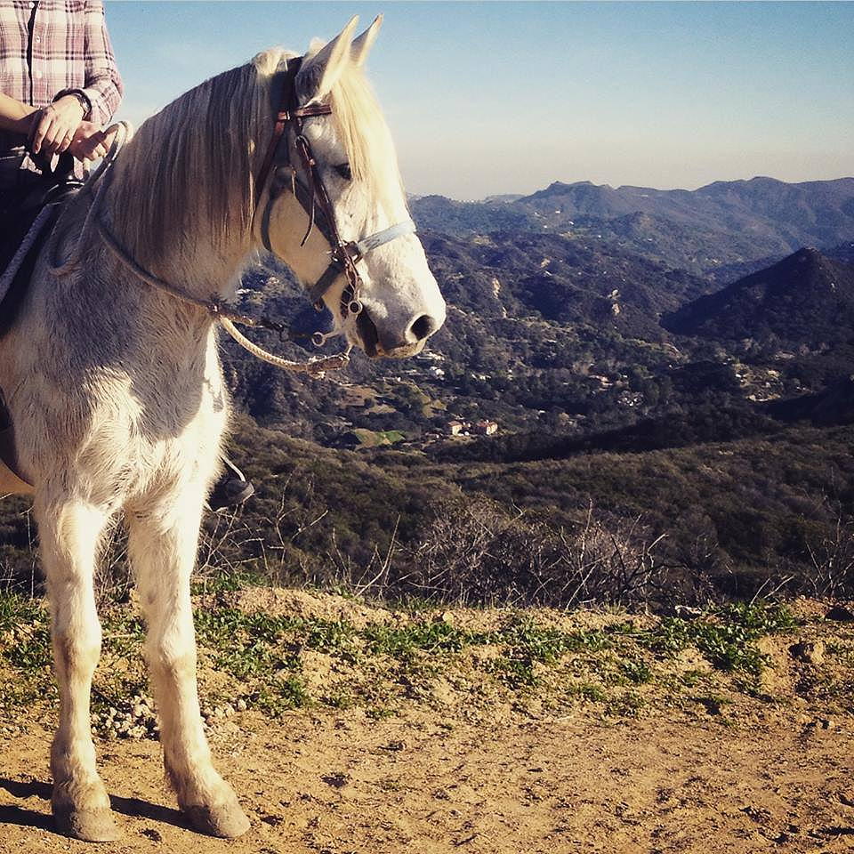 Insiders Guide to Horseback Riding in LA THEA at Metropolis