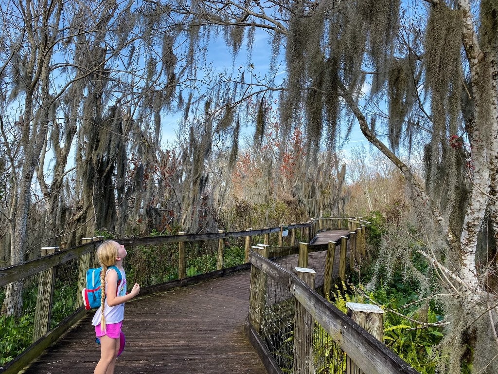 2023 Complete Guide to Hike Florida 18 Best Hiking Trails In Florida