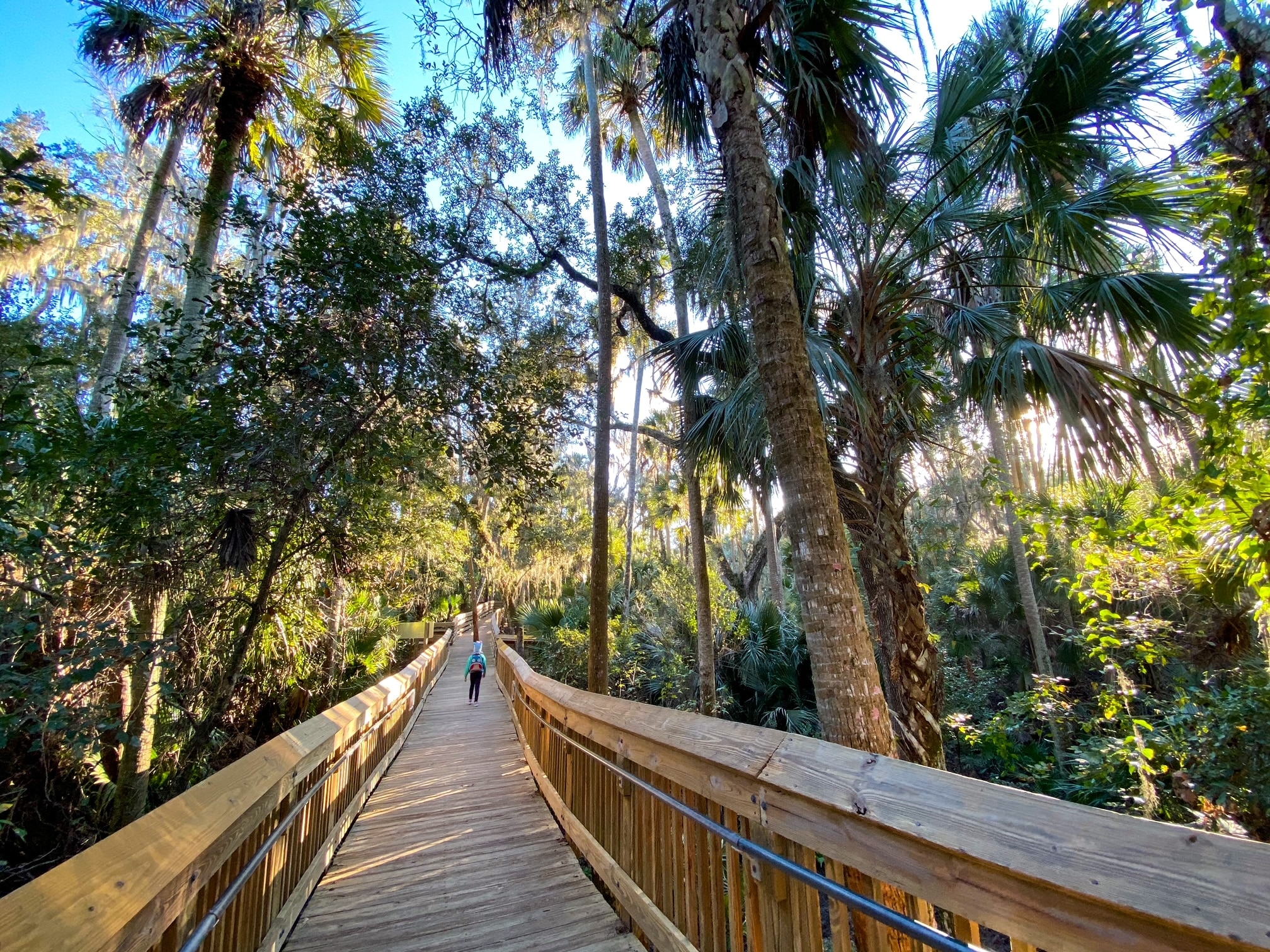 2023 Complete Guide to Hike Florida 18 Best Hiking Trails In Florida