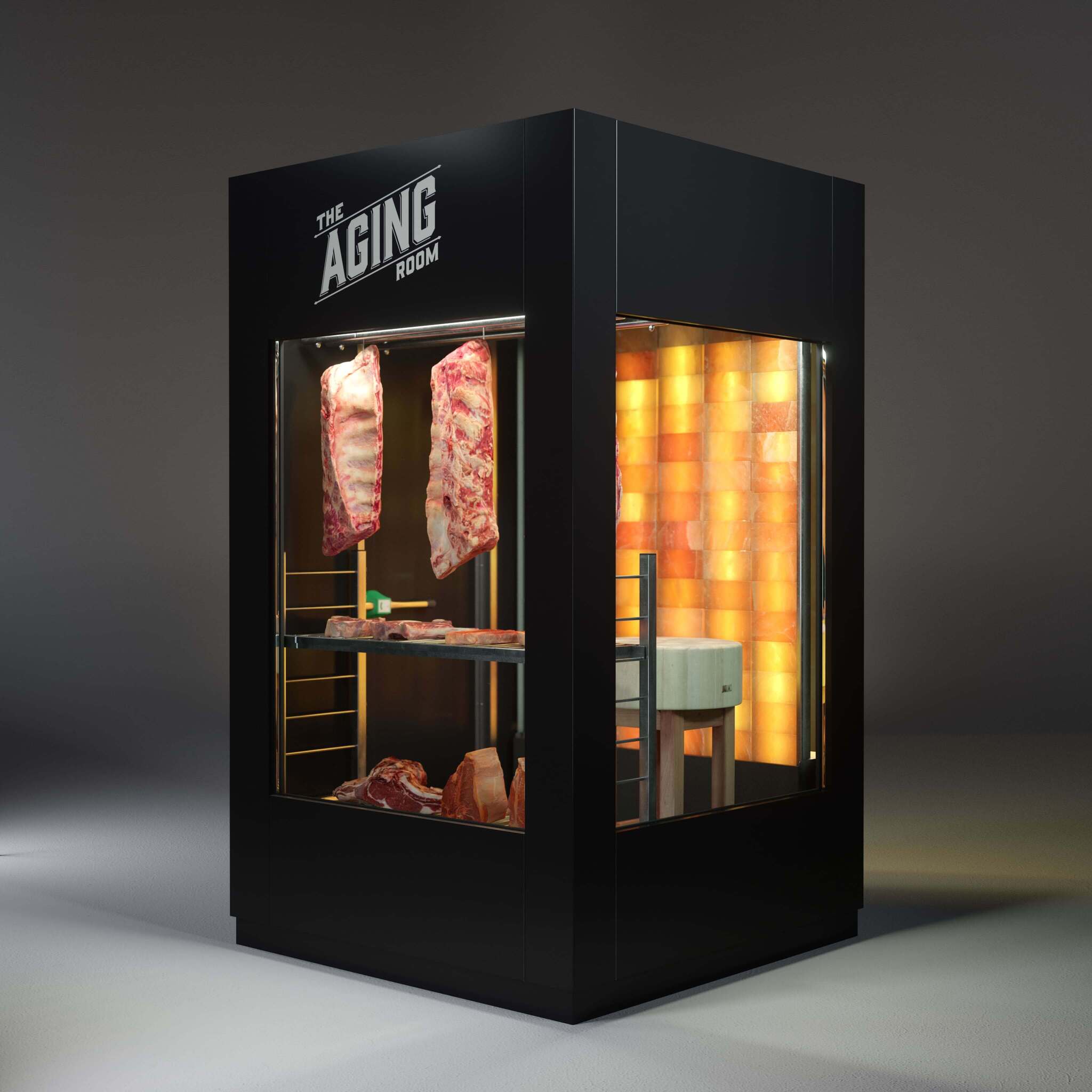 Home Meat Aging Matttroy