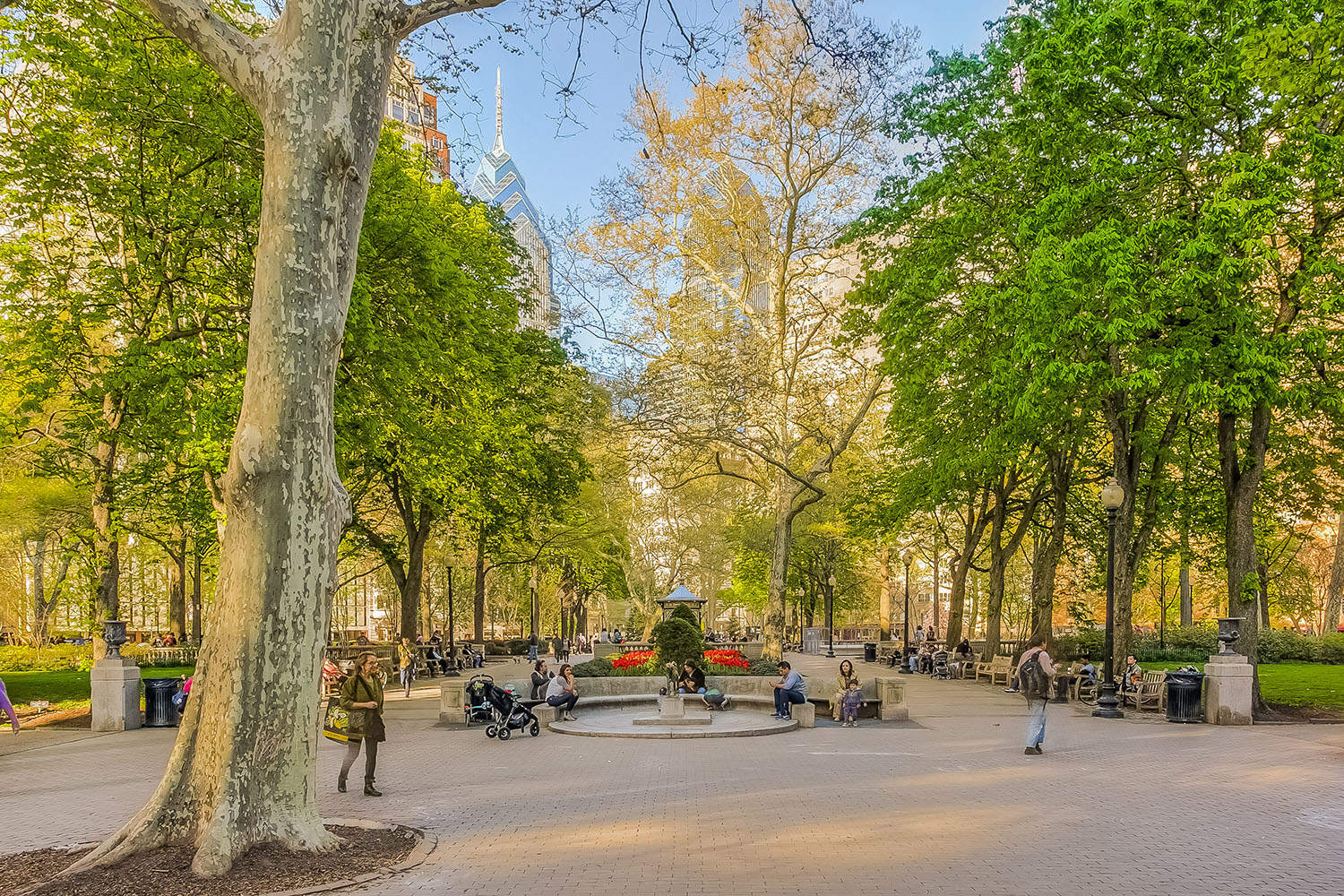 Luxury Rittenhouse Square Apartments for Rent Condos Rentals