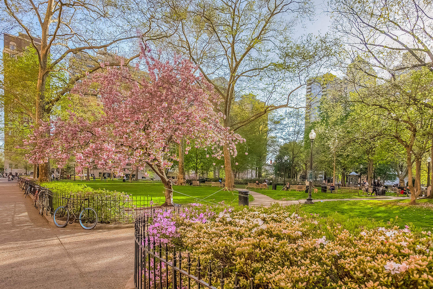Luxury Rittenhouse Square Apartments for Rent Condos Rentals