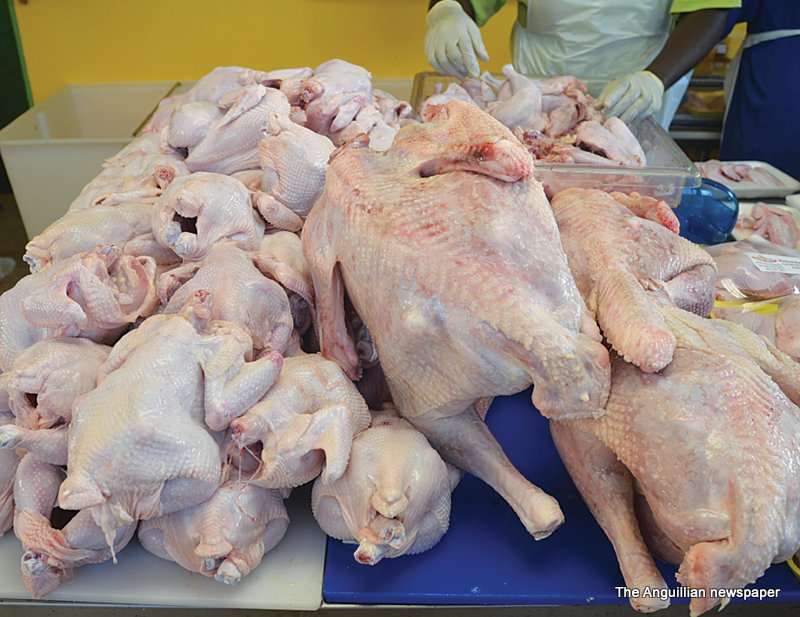ANKOR POULTRY & MEATS FARM A Must See In Anguilla The Anguillian