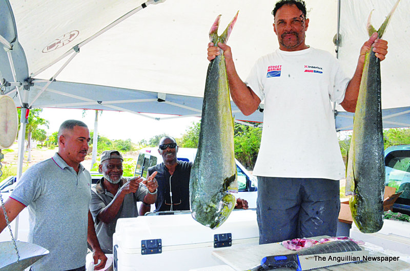 FISHING IN ANGUILLA NOW DOING WELL The Anguillian Newspaper