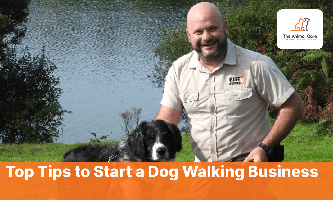 How to Start a Dog Walking Business The Animal Care